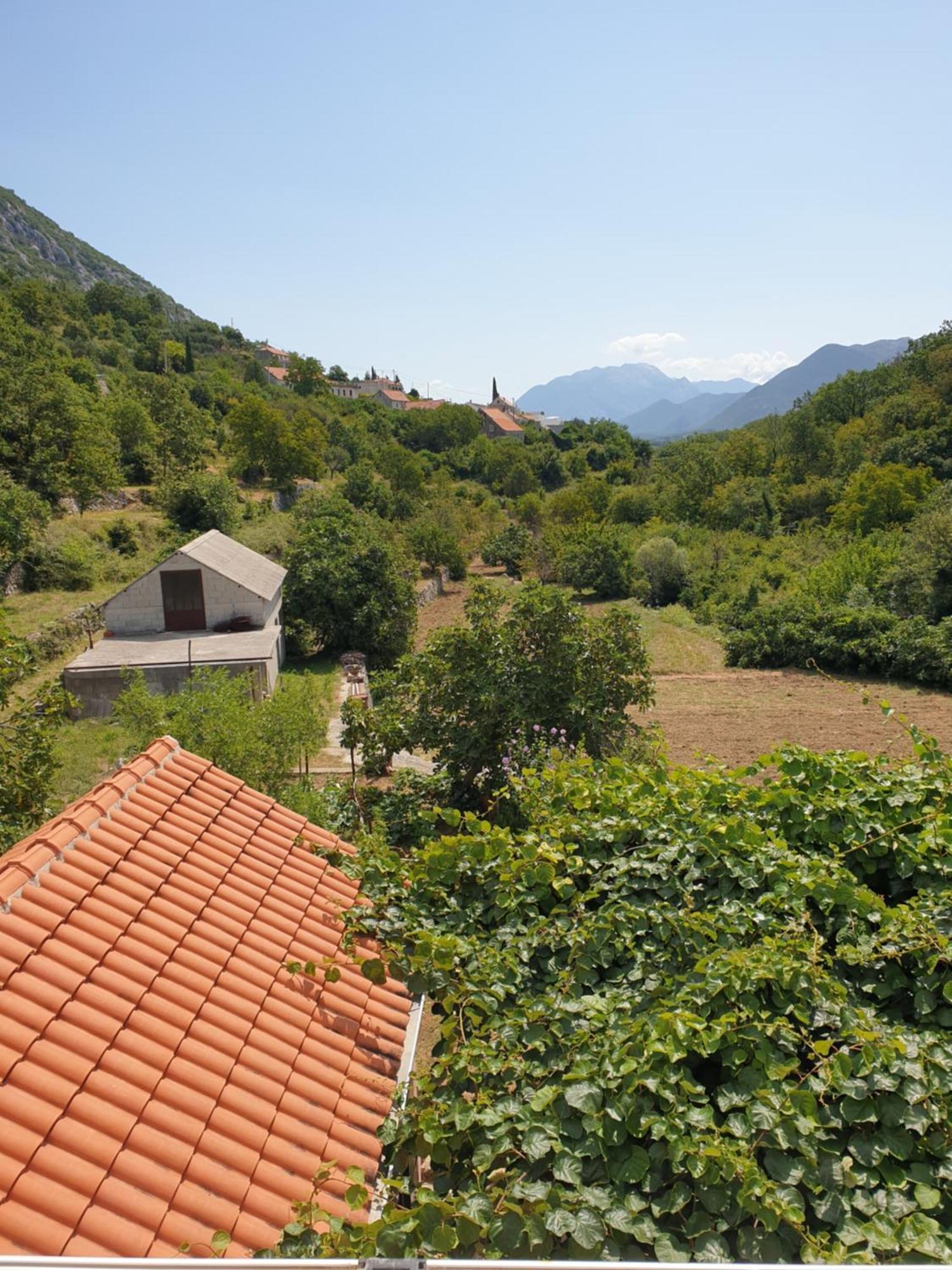 Apartman Nature Zvecanje Exterior photo